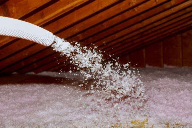 Best Geographic-Specific Insulation Services in South San Francisco, CA