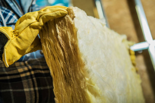 Best Cellulose Insulation in South San Francisco, CA