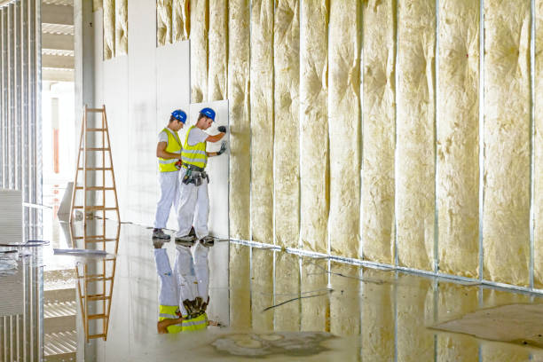 Types of Insulation We Offer in South San Francisco, CA